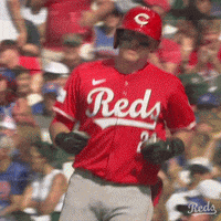 Baseball Mlb GIF by Cincinnati Reds