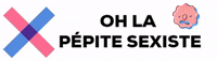 PepiteSexiste pépitesexiste pepite sexiste GIF