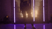 Washington Huskies Softball GIF by NCAA Championships