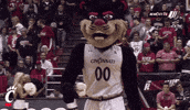 excited cincinnati bearcats GIF by University of Cincinnati Athletics