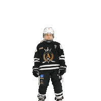 alfahockey хоккей хоккеист альфа хоккейспб Sticker