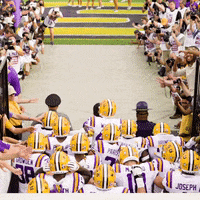 College Sports Football GIF by LSU Tigers