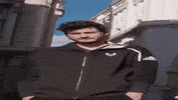 Renault GIF by Team Vitality