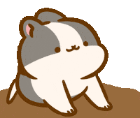 Rabbit Omg Sticker
