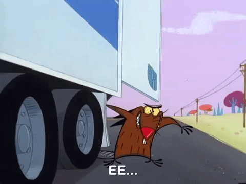 nickrewind giphydvr nicksplat angry beavers giphyab017 GIF