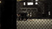 pulls up nick jonas GIF by Kingdom on Audience