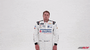 Global Industrial Whatever GIF by Richard Childress Racing