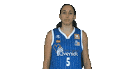Basketball No Sticker by CB PERFUMERIAS AVENIDA