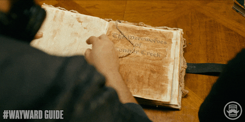 Wayward Guide GIF by Tin Can Bros