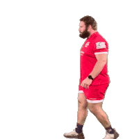 Looking See You Sticker by Jersey Reds