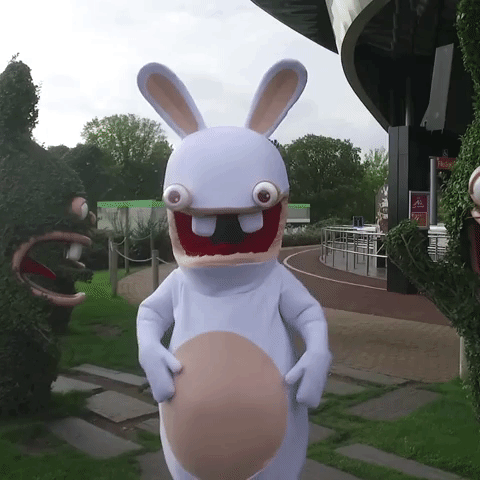 lapin GIF