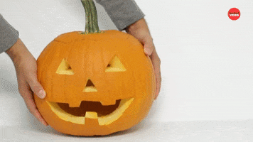 Halloween Fall GIF by BuzzFeed