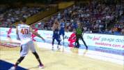 cam cameron GIF by Brisbane Bullets