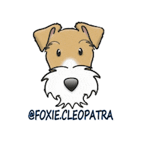 FoxieCleopatra terrier wft wire fox terrier foxiecleopatra Sticker