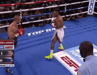 toprank fight boxing fighting espn GIF