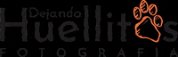 DejandoHuellitas dhf GIF