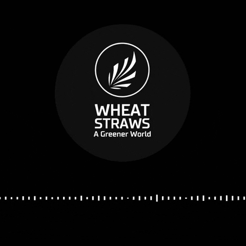 wheatandstraws giphygifmaker wheat straws GIF