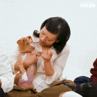 Puppy Licking GIF by BuzzFeed