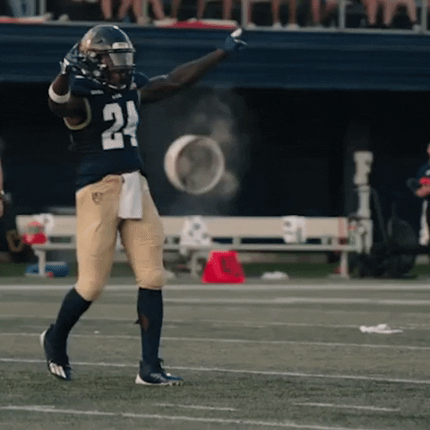 Fiu Football GIF by FIU Panthers
