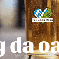 Beer Bier GIF by Pillmeier Bräu GmbH