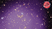 X-Ray X GIF by ESA Webb Space Telescope