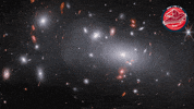 James Webb Nasa GIF by ESA Webb Space Telescope