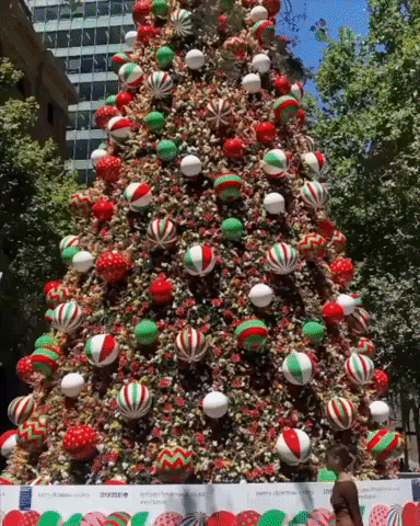 Christmas Tree Glistens in Sydney's Summer Sun