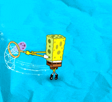 animation television GIF by SpongeBob SquarePants