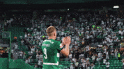 Scp GIF by Sporting CP