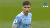 Premier League Football GIF by MolaTV