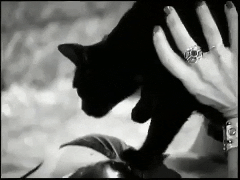 sonic youth 90s GIF