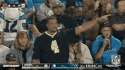 Regular Season Football GIF by NFL