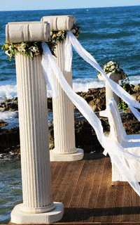 weddingwishes  GIF