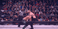 Top Flight Wrestling GIF by AEWonTV