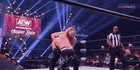 Top Flight Wrestling GIF by AEWonTV