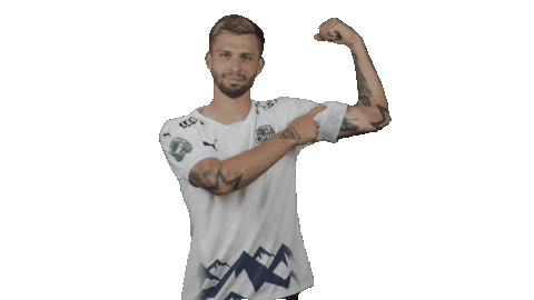 Фк Сочи Sticker by pfcsochi