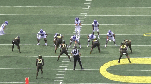 sletizia14 giphyupload cfcbears blakefreeland GIF