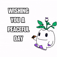 Happy Good Day GIF by Magic Eden