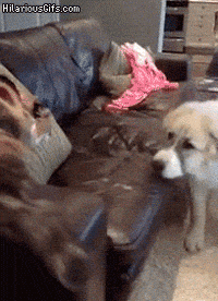 hit pain GIF