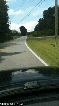 homer it does GIF by Cheezburger