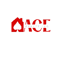 acerealty realtor realestate ace agent Sticker