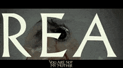 Irish Film Arrowfrightfest GIF by Signature Entertainment