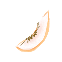 Fruit Peach Sticker by No.14