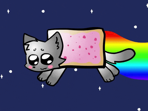 Cat Animation GIF by Ocelot