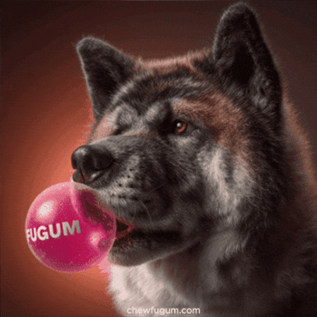 Dog Vibe GIF by Fugum