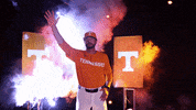 Baseball Hype GIF by NCAA Championships