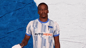 Bundesliga Berlin GIF by Hertha BSC