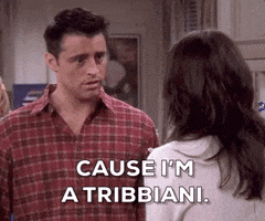 season 8 friends GIF