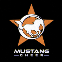 Mustang Houston GIF by Mustang Cheer