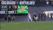Football Touchdown GIF by Pac-12 Network
